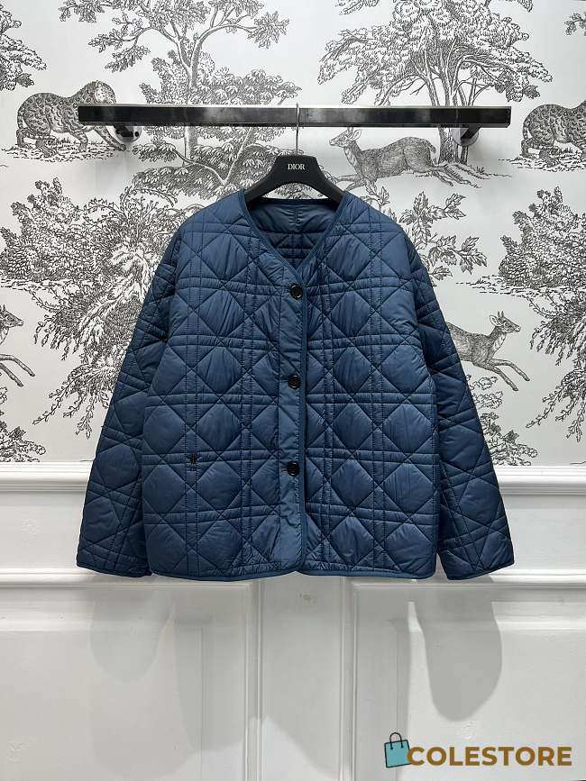 Colestore Dior Puffer Jacket Blue  - 1