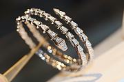 Colestore BVLGARI Serpenti Viper  - 2