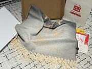 Colestore Louis Vuitton Scarf Grey 02 - 4