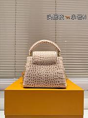 Colestore Louis Vuitton Capucines Crocodile White 20 x 13 cm - 4