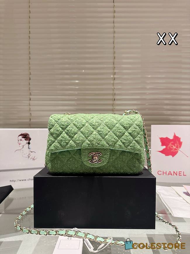 Colestore Chanel Flap Bag Tweedb Green 20 cm - 1