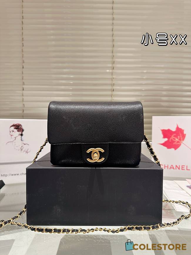 Colestore Small Flap Bag Grained Shiny Calfskin & Gold-Tone Metal Black 17 x 12 cm - 1