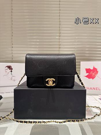 Colestore Small Flap Bag Grained Shiny Calfskin & Gold-Tone Metal Black 17 x 12 cm