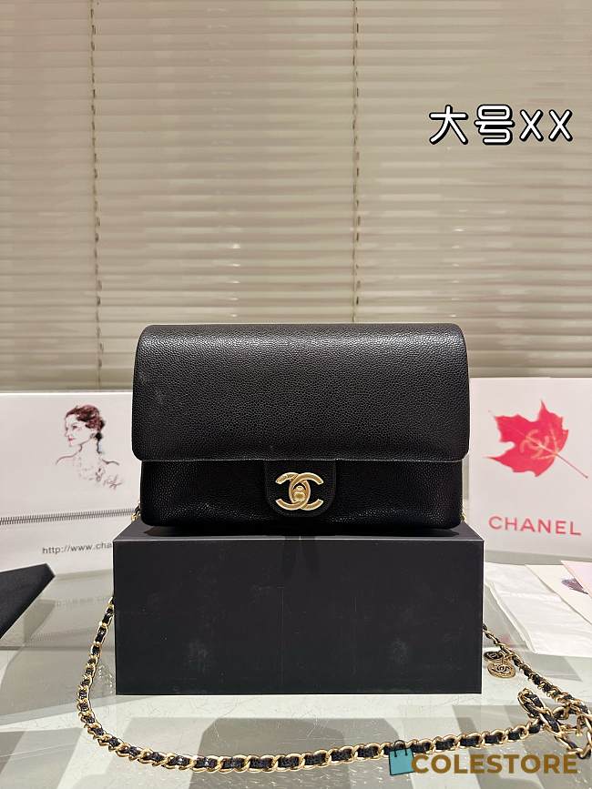 Colestore Flap Bag Grained Shiny Calfskin & Gold-Tone Metal Black 23 x 13 cm - 1