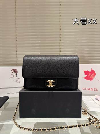Colestore Flap Bag Grained Shiny Calfskin & Gold-Tone Metal Black 23 x 13 cm