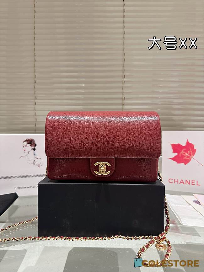 Colestore Small Bag Grained Shiny Calfskin & Gold-Tone Metal Burgundy 23 x 13 cm - 1