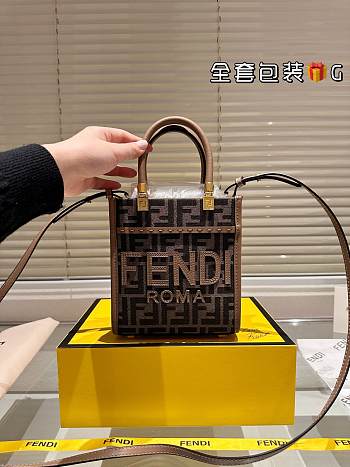 Colestore Fendi Mini Tote 18 x 14 cm