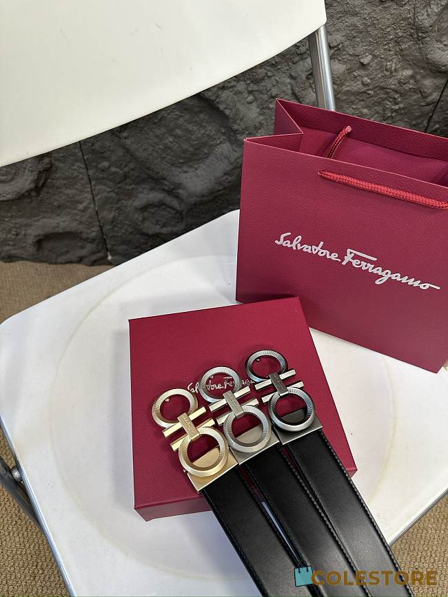 Colestore Salvatore Ferragamo Belt Multi Color - 1