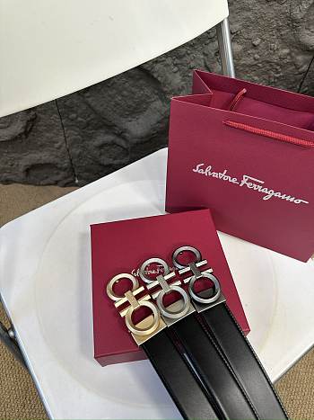 Colestore Salvatore Ferragamo Belt Multi Color