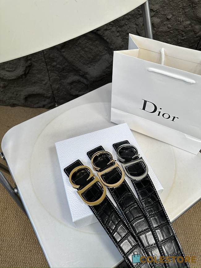 Colestore Dior Belt Multicolor  - 1