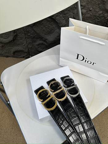 Colestore Dior Belt Multicolor 