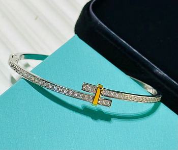 Colestore Tiffany & Co. Tiffany T Series Silver 