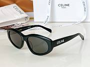Colestore Celine Sunglasses Multicolor - 2