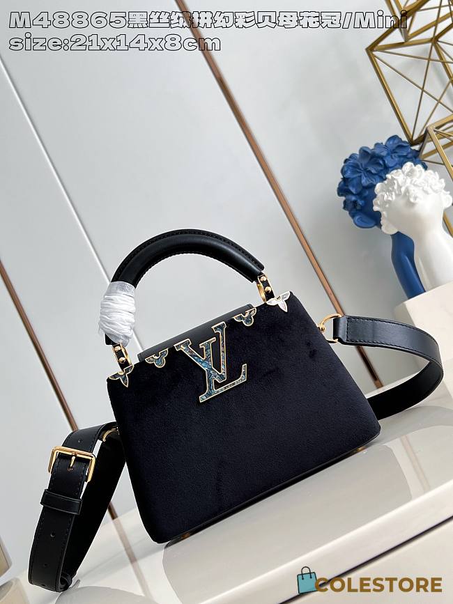 Colestore Louis Vuitton Mini Capucines Suede Black 21x14x8 cm - 1