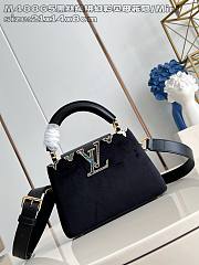 Colestore Louis Vuitton Mini Capucines Suede Black 21x14x8 cm - 1