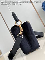 Colestore Louis Vuitton Mini Capucines Suede Black 21x14x8 cm - 4