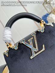 Colestore Louis Vuitton Mini Capucines Suede Black 21x14x8 cm - 6