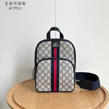 Colestore Gucci GG crossbody bag White 20 X 29 X 6 cm