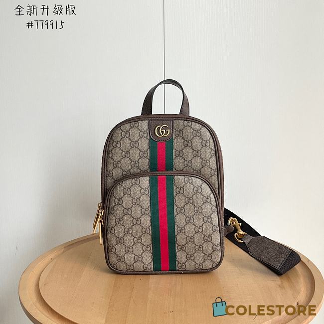 Colestore Gucci GG crossbody bag Brown 20 X 29 X 6 cm - 1