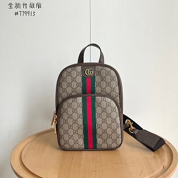 Colestore Gucci GG crossbody bag Brown 20 X 29 X 6 cm