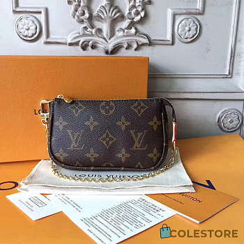 Colestore Louis Vuitton Mini Pochette Accessoires Monogram 10.5 x 4 x 15.5 cm