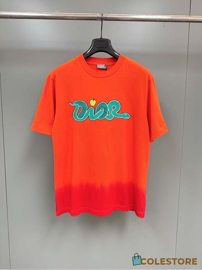 Colestore Dior & KAWS Reunite for Year of the Snake T-Shirt Orange - 1