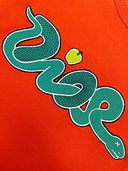Colestore Dior & KAWS Reunite for Year of the Snake T-Shirt Orange - 4