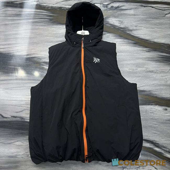 Colestore Loewe Puffer Jacket In Technical Shell Handless - 1