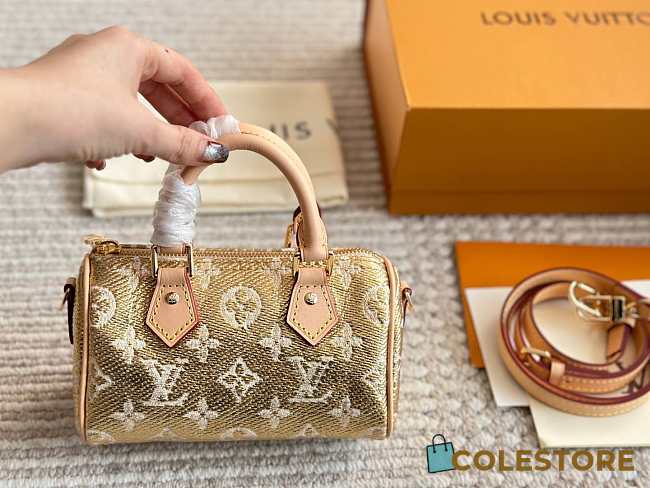 Colestore Louis Vuitton Mini Speedy Bag Gold Color 17 x 10 cm - 1