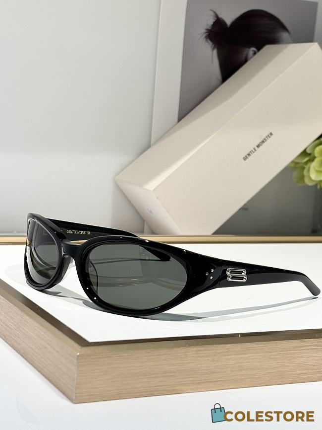 Colestore Balenciaga Sunglasses 3 Colors - 1