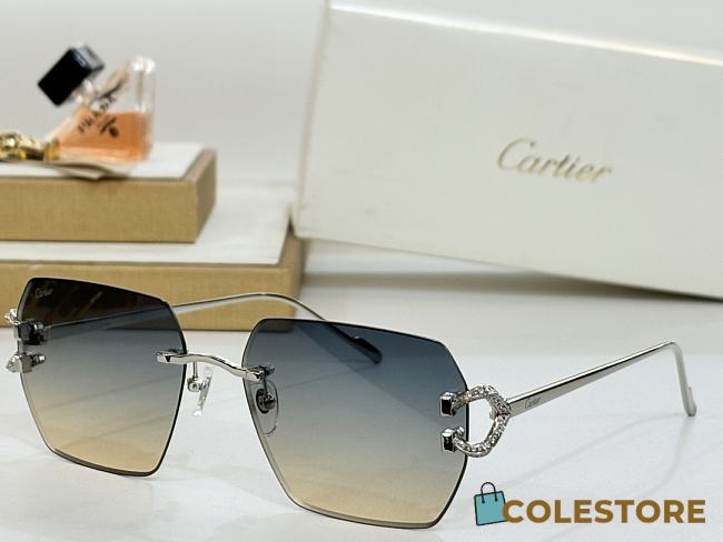 Colestore Cartier Sunglasses Multicolor - 1