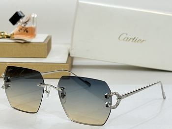 Colestore Cartier Sunglasses Multicolor