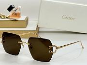 Colestore Cartier Sunglasses Multicolor - 2