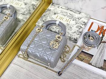Colestore Dior Lady Dior Gray 17×7×15 cm