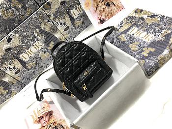 Colestore Dior Backpack Black 16 x 21 x 8.5 cm