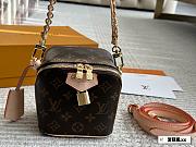 Colestore LOUIS VUITTON Just In Case Monogram Brown 13*14cm - 1