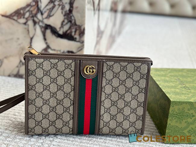 Colestore Gucci Ophidia small pouch Brown 27 x 17cm - 1