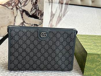 Colestore Gucci Ophidia small pouch 01 27 x 17cm