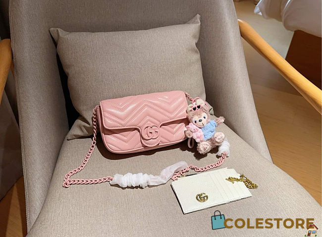 Colestore Gucci Marmont Pink 22cm - 1