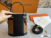 Colestore Louis Vuitton Monogram Reverse Cannes Vanity Bag Black 15 cm - 5