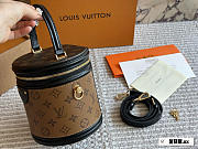 Colestore Louis Vuitton Monogram Reverse Cannes Vanity Bag Black 15 cm - 3