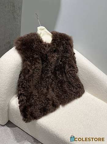 Colestore Toteme Fur Coats Brown