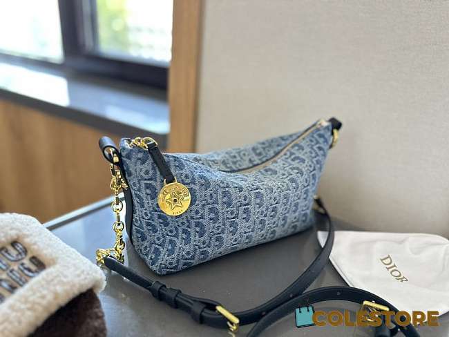 Colestore Dior Hobostar Denim 23 cm - 1