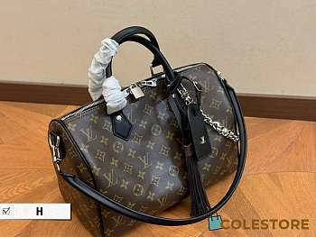 Colestore LV Keepall 30 cm