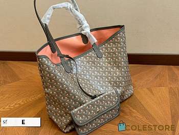 Colestore Goyard Brown Bag 20 x 19 cm
