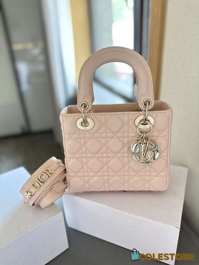 Colestore Dior Lady Dior Pink 20 cm - 1