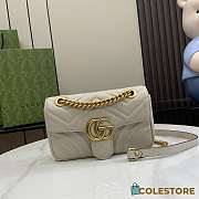 Colestore Gucci GG Marmont Bag Light Grey 22x13x6cm - 1