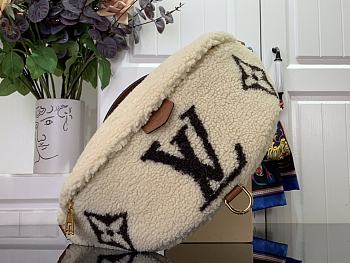 Colestore Louis Vuitton Bumbag Monogram Teddy Fleece 37x14x13cm