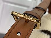 Colestore Louis Vuitton Bumbag Monogram Teddy Fleece 37x14x13cm - 5