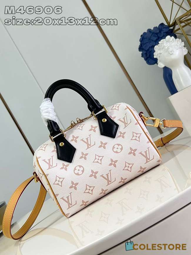 Colestore Louis Vuitton Speedy Bandoulière 20 20.5x13.5x12CM - 1
